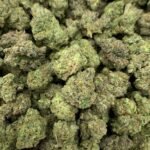 Pine Walker CBDV Flower