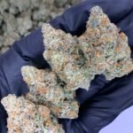 Pineapple Breeze THCa Flower