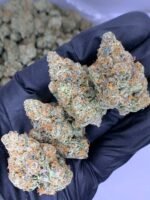 Pineapple Breeze THCa Flower
