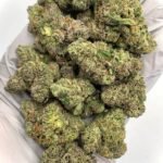 Pink Gummy Exotic THCa Flower