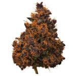 Pink Rosay THCa Flower