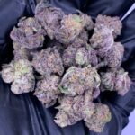 Pinnacle THCa Flower