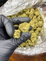 Plat CBD Strain - Image 3