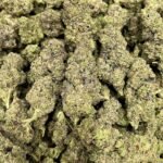 Pluto Gas Indoor CBD Strain