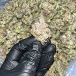 Pure Michigan THCa Exotics