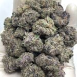 Purple Cream Exotic THCA Flower