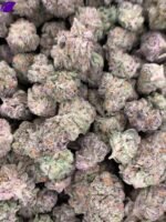 Purple Punch Exotic THCa Flower - Image 2