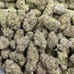 Purple Skittles Indoor CBD Strain