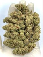 Purple Tesla THCa Flower