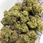 Push Pop THCa Flower