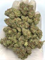 Rainbow Push Pop THCa Flower