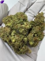 Rainbow Sherbet THCa Flower