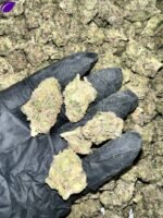 Runtz Indoor THCa Flower - Image 2