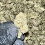 Runtz Indoor THCa Flower