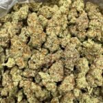 Sherblatto Indoor CBD Strain