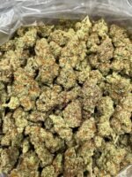 Sherblatto Indoor CBD Strain