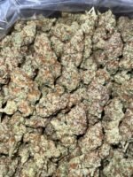 Sherblatto Indoor CBD Strain - Image 2