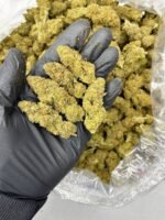 Skywalker CBD Strain