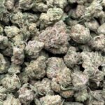 Smarties Smalls Indoor CBD Strain