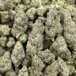 Secret Cookies Indoor CBD Strain