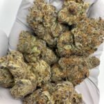 Sour Cherry Exotic THCa Flower