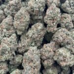 Strawberry Shortcake HHC Flower