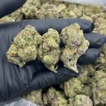 Buy Sugar Tartz THCa Flower