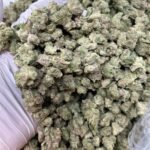 Tangilope THCa Flower