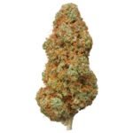 The White THCa Flower