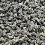 Thin Mintz Smalls Indoor CBD Strain