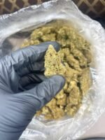 Thin Mintz CBD Strain - Image 2