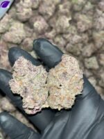 Tropicana Cookies THCA Exotics