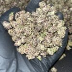 Tropicana Smalls Exotic THCa