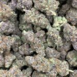 Tropicanna THCa Flower