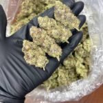 Wap Indoor CBD Strain