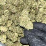 Wedding Cake Exotic THCA