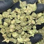 Wedding Cake THCa Smalls