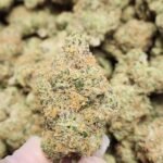 White Cherry Slime THCa Flower