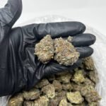 White Runtz CBD Strain