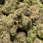 Super Sour Diesel THCA Flower