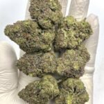 Birthday Cake THCa Flower