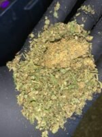 Indoor THCa Trim