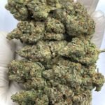 Dagashi Kush THCa Flower