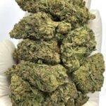 Magic Marker THCa Flower