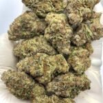 Milky Way THCa Flower