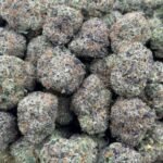 Purple Punch HHC Flower