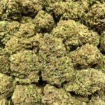 Harlequin THCA Flower