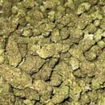 Blueberry Cheesecake THCa Flower