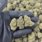 Spiced Apple THCa Flower