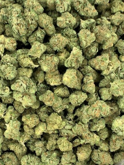 Citrus Skunk THCa Flower